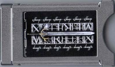 Merlin CI Inside
